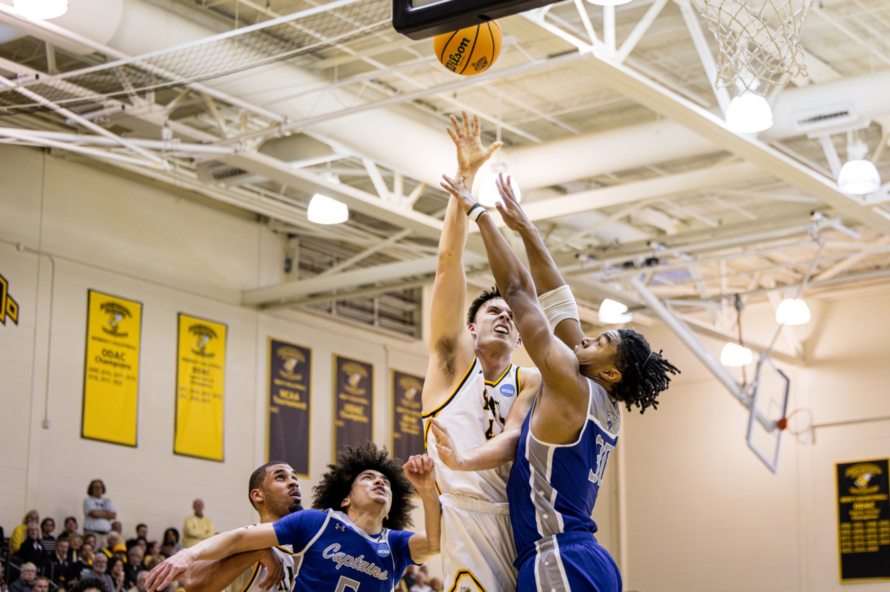 Randolph–Macon Yellow Jackets battling for a rebound in the NCAA Sweet 16